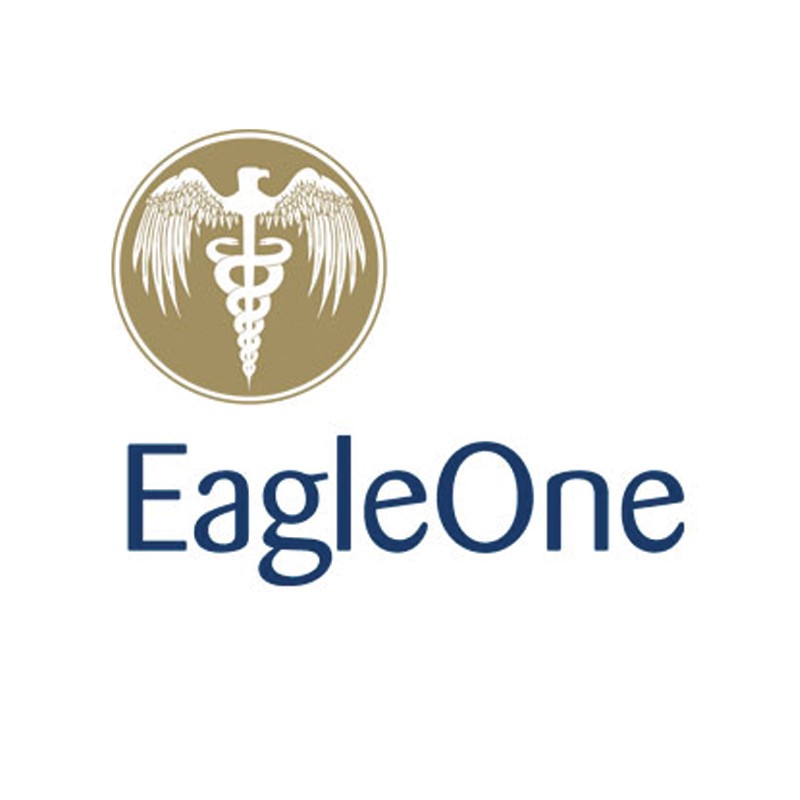 Image of Eagle One logo