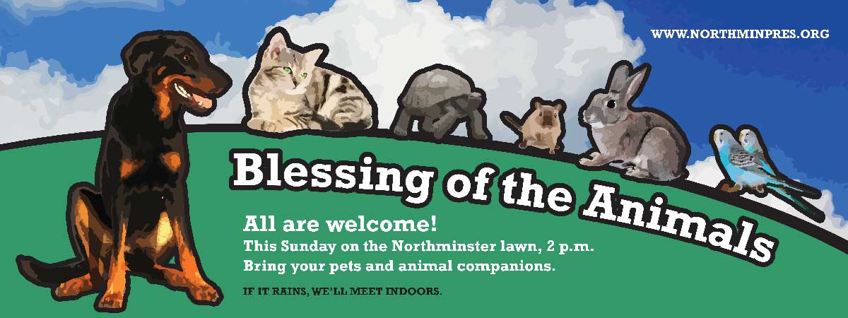 Large scale banner - pet blessing ceremony