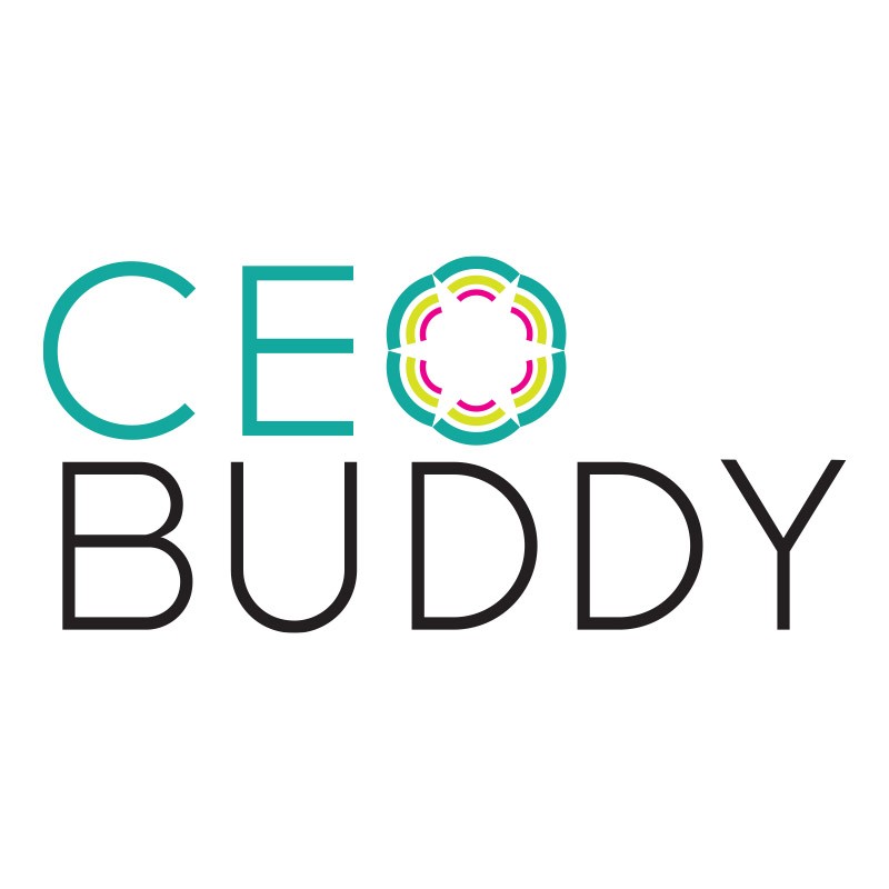 CEO Buddy Option 4